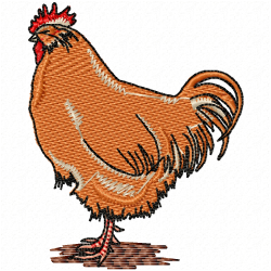 Chickens And Roosters Embroidery Design 5 Chickens And Roosters Embroidery Design 5